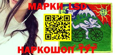 гидропоника Гусев