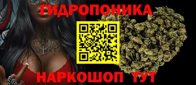 гидропоника Гусев